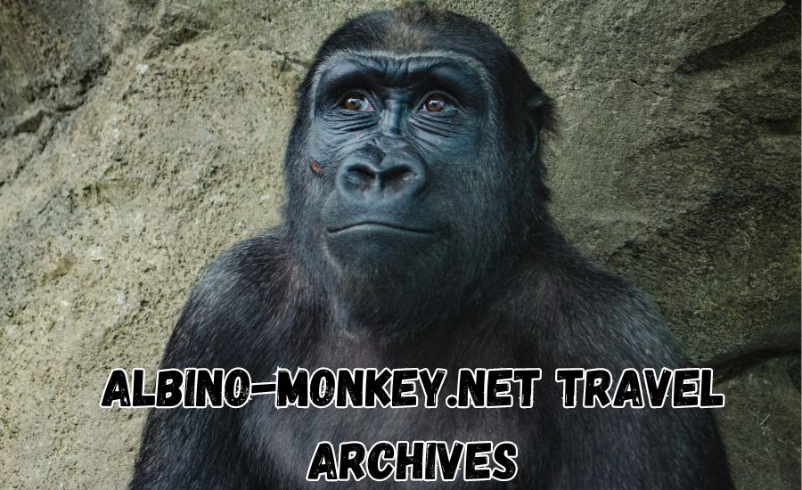 albino-monkey.net travel archives