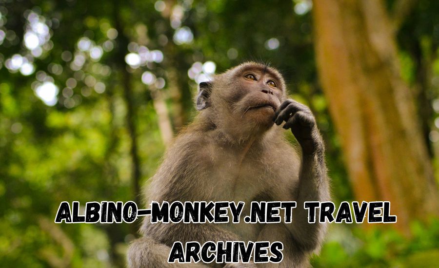 albino-monkey.net travel archives