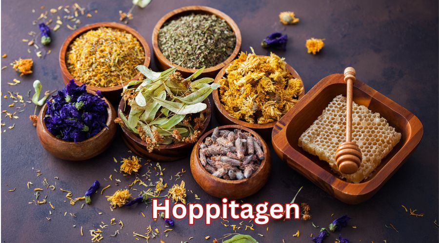 Hoppitagen